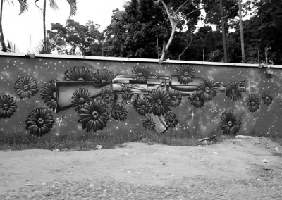 A graffiti of a gun ( kalashnikov ak-47) with flowers. The flowers represent the peace.